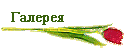 Галерея