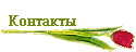 Контакты
