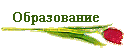 Образование