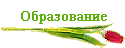 Образование